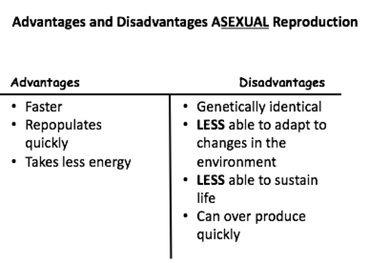 asexual reproduction pros cons